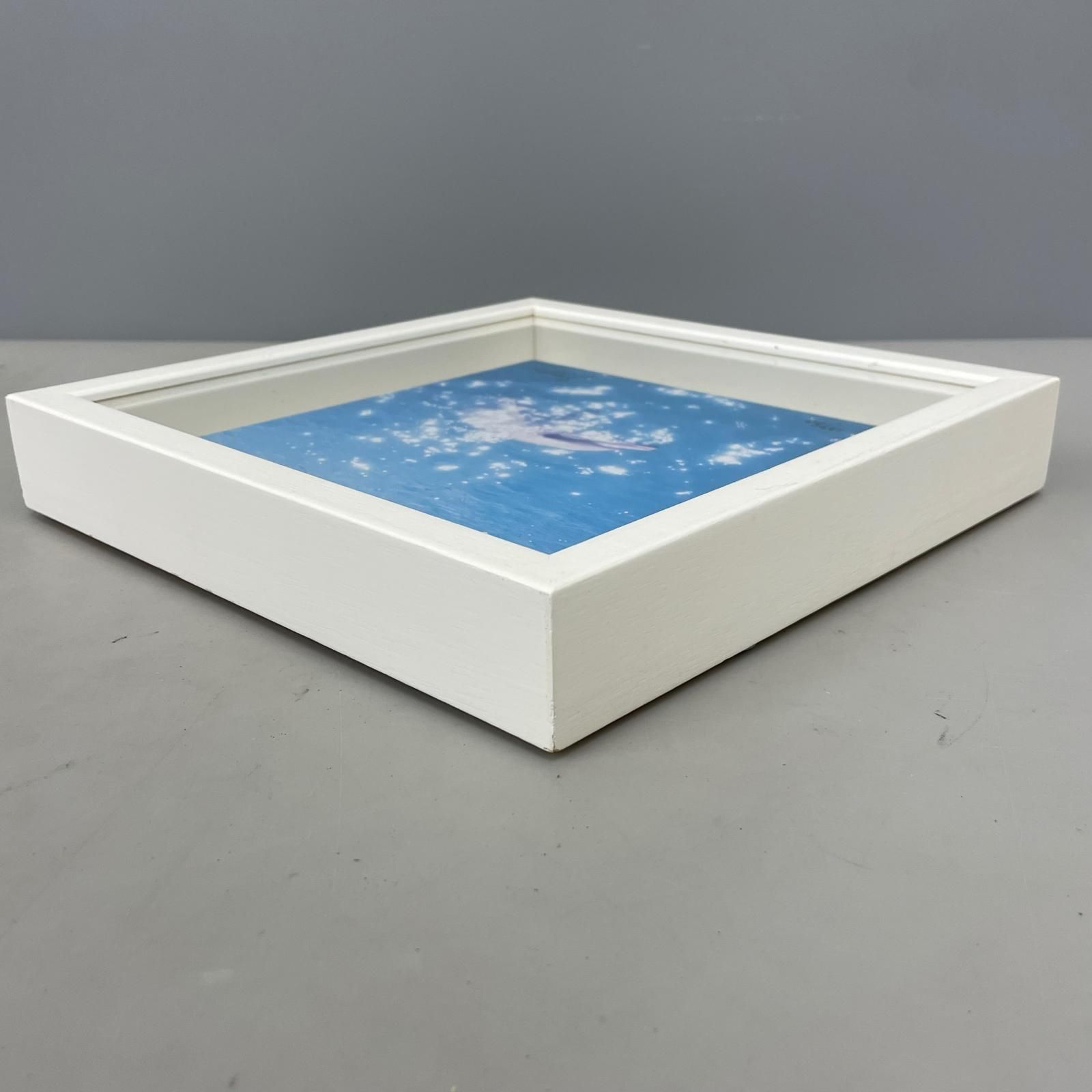 dolphin イルカ 高砂淳二 版画 ジクレー 額装品 - メルカリ