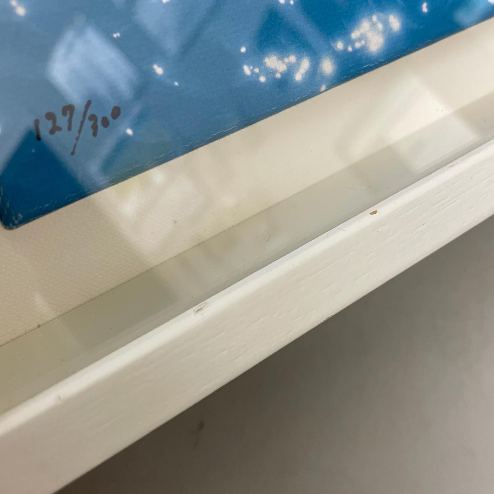dolphin イルカ 高砂淳二 版画 ジクレー 額装品 - メルカリ