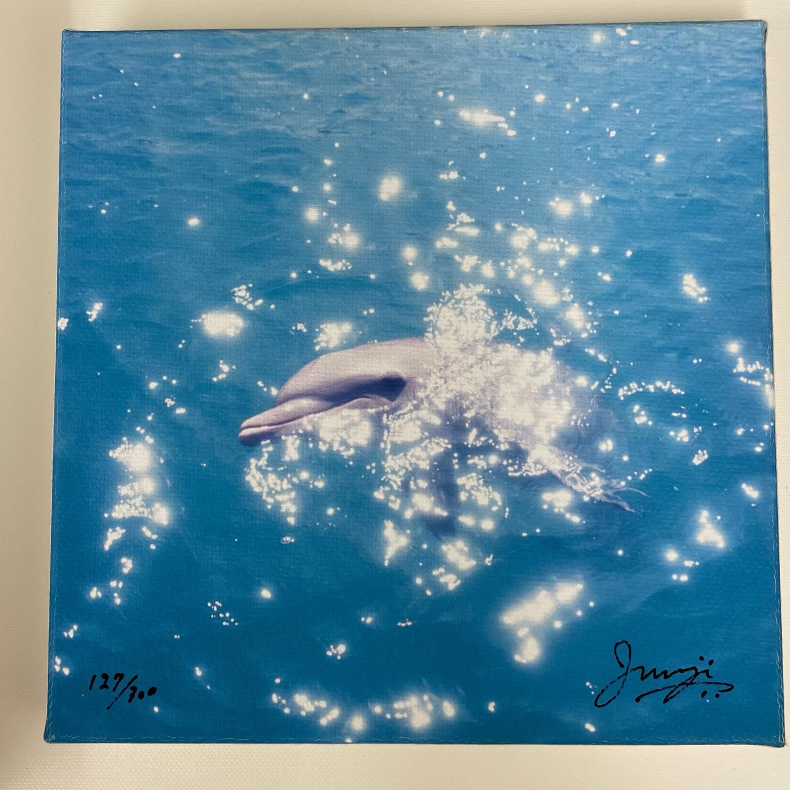 dolphin イルカ 高砂淳二 版画 ジクレー 額装品 - メルカリ