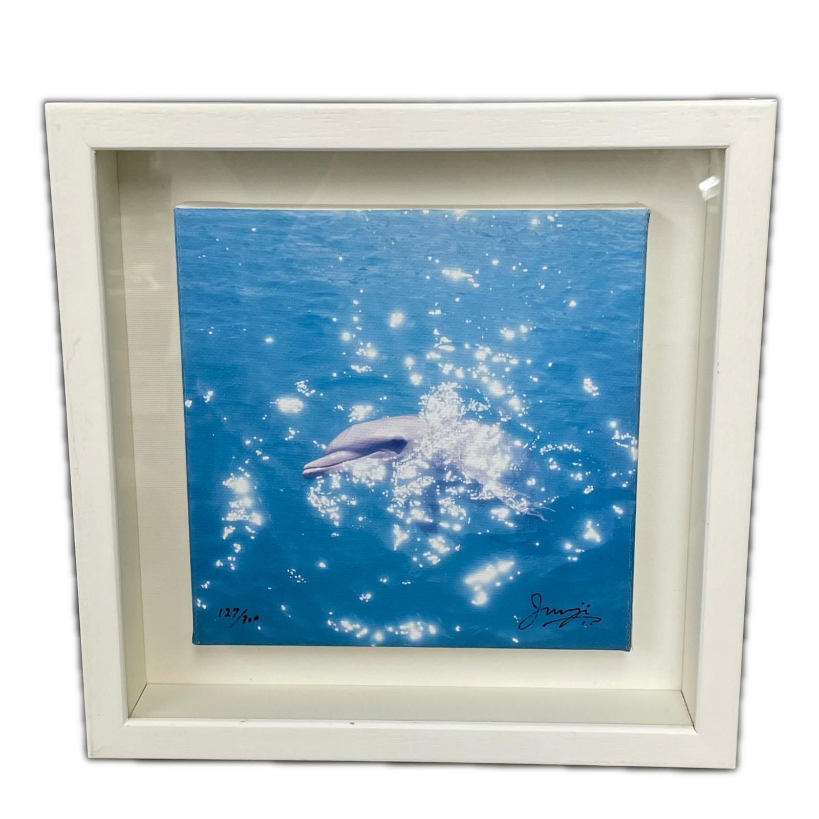 dolphin イルカ 高砂淳二 版画 ジクレー 額装品 - メルカリ
