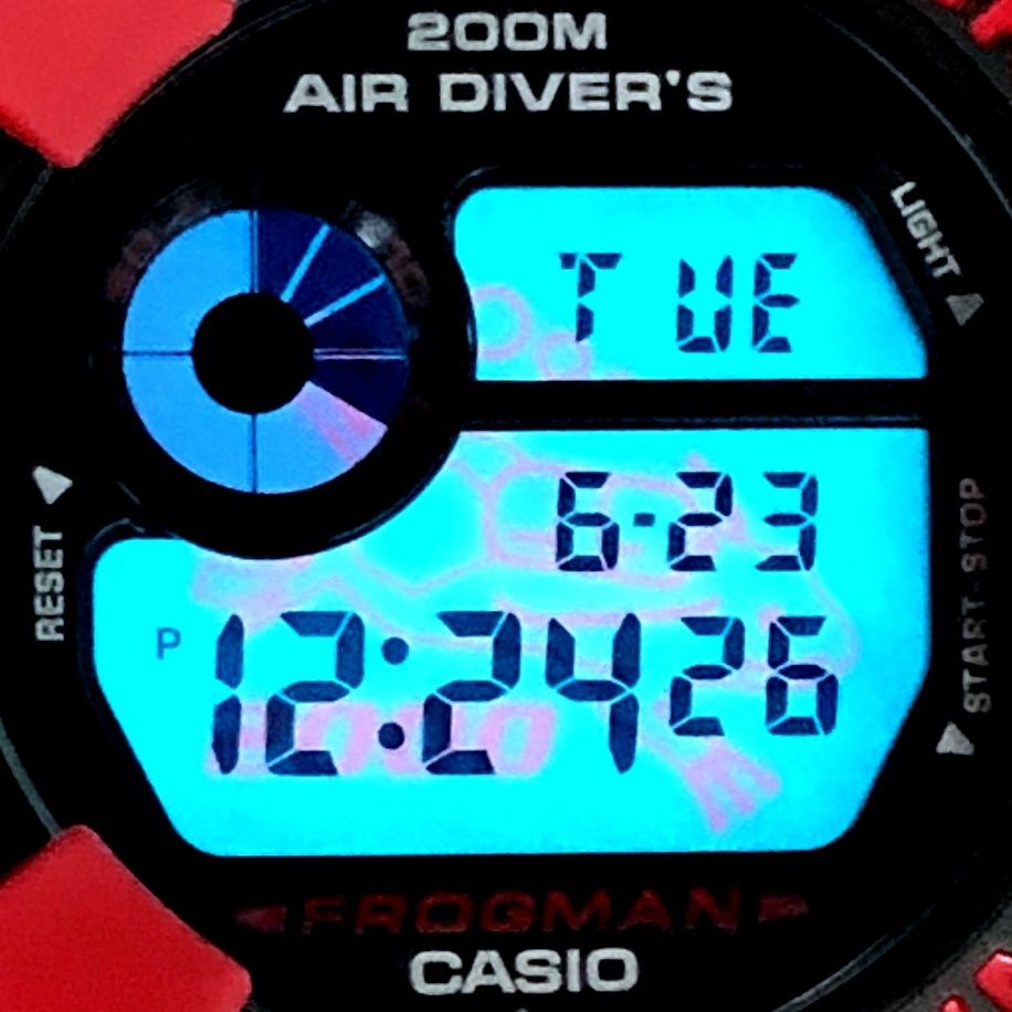 G-SHOCK ジーショック DW-8200F-4 FROGMAN 2000 フロッグマン G