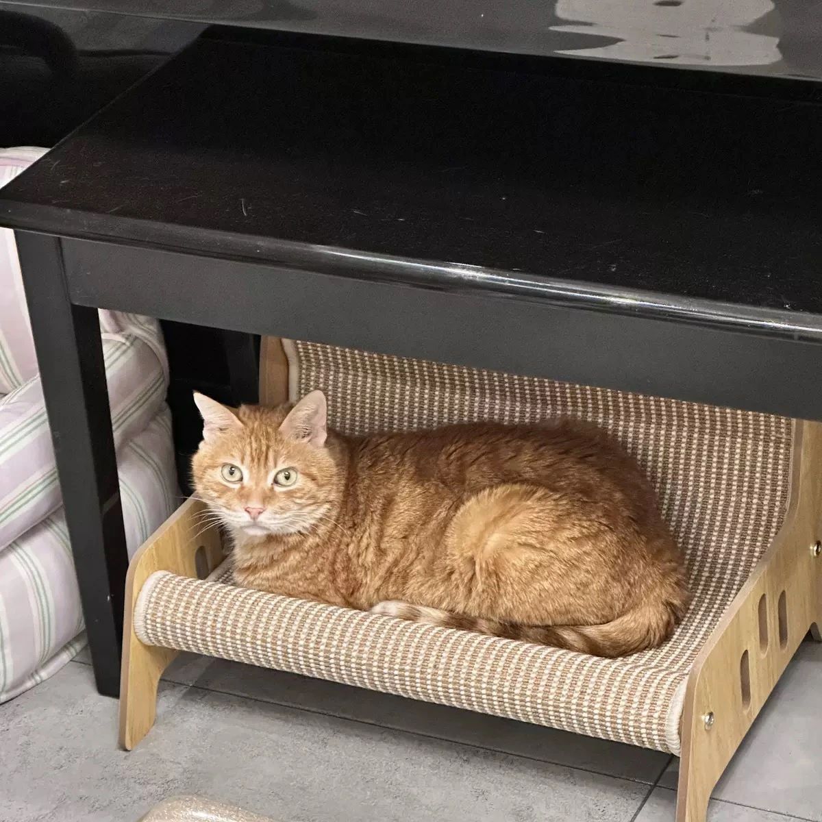 猫 ソファ型爪とぎ ベッド 猫用 爪研ぎ 木製 天然麻素材 ラタン編み 