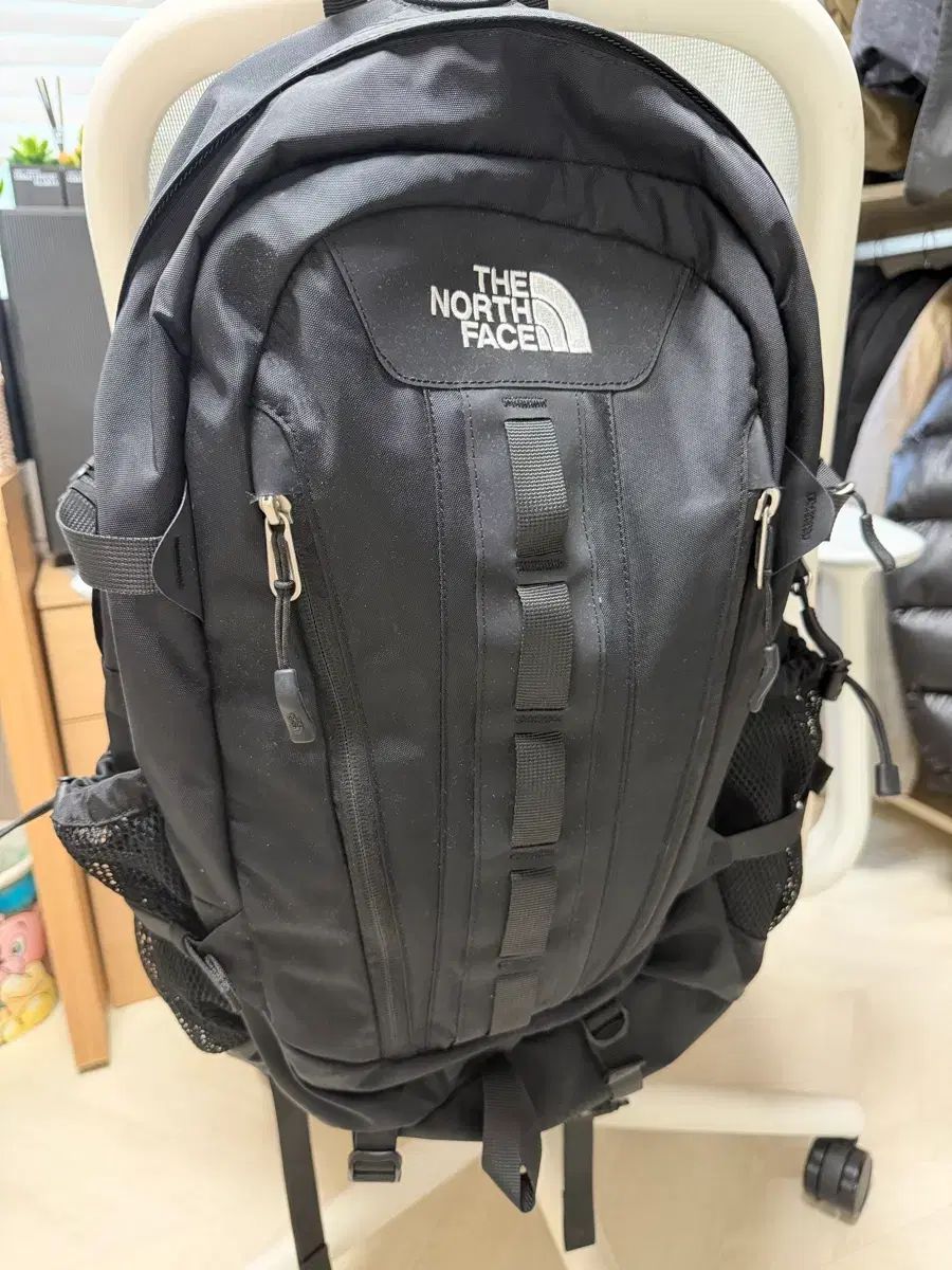 THE NORTH FACE ザノースフェイス BIGSHOT 出品