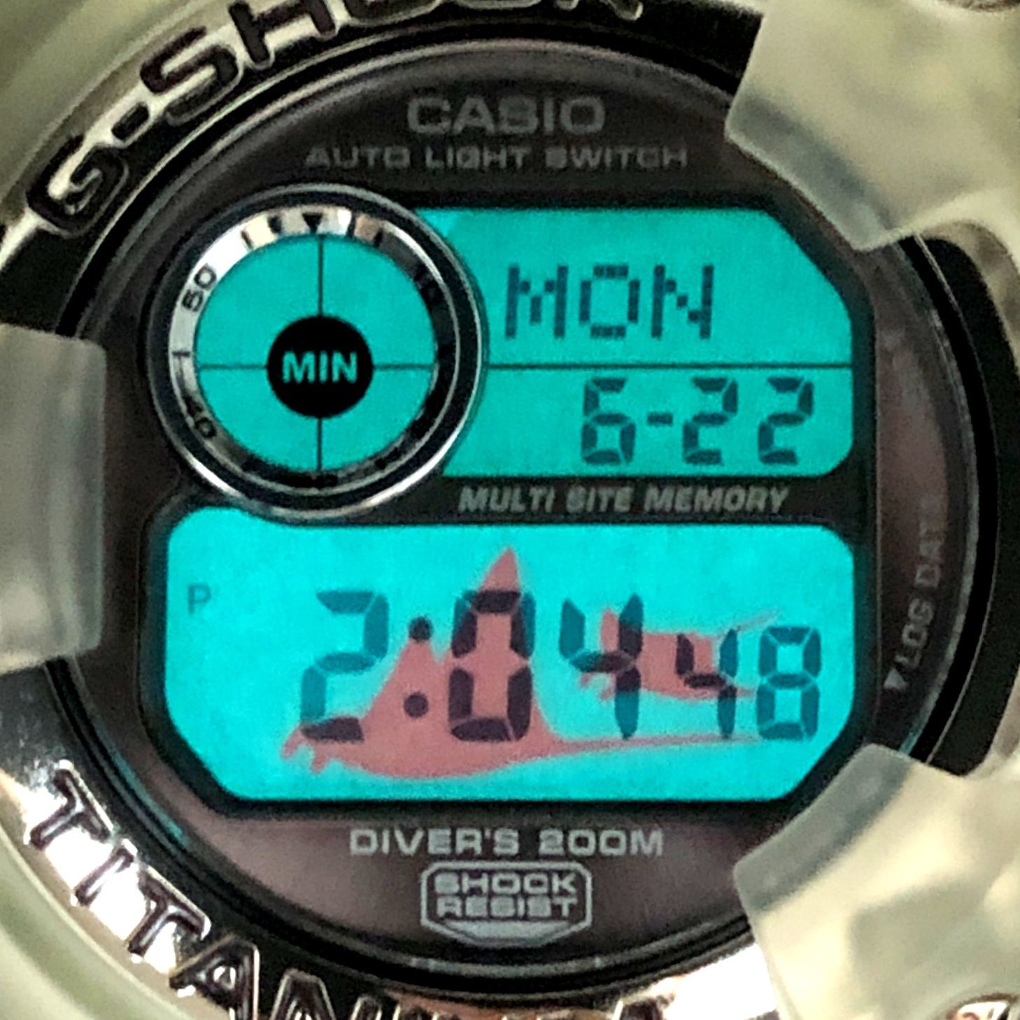 G-SHOCK DW-9900WC-5T フロッグマン G-SHOCK ジーショック DW-9900WC-5T FROGMAN WCCS フロッグマン