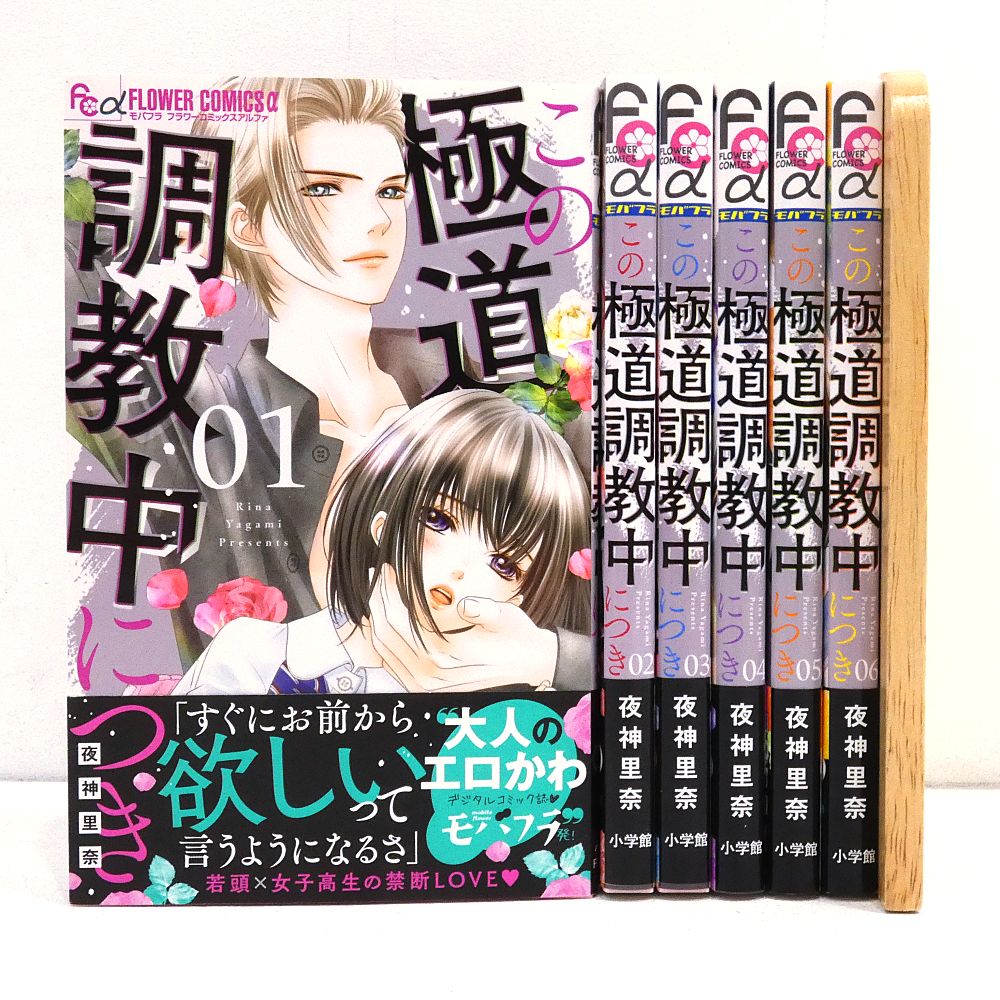 小牧店】この極道調整中につき 1～6巻セット 夜神里奈 初版 帯付き