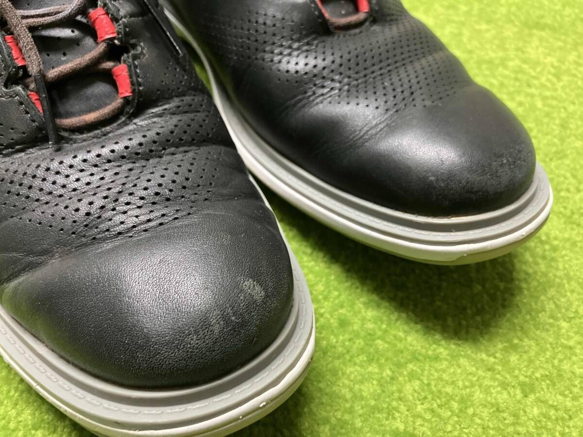 NIKE ゴルフシューズ 25cm Jordan ADG 4 ジョーダン ブラック×レッド