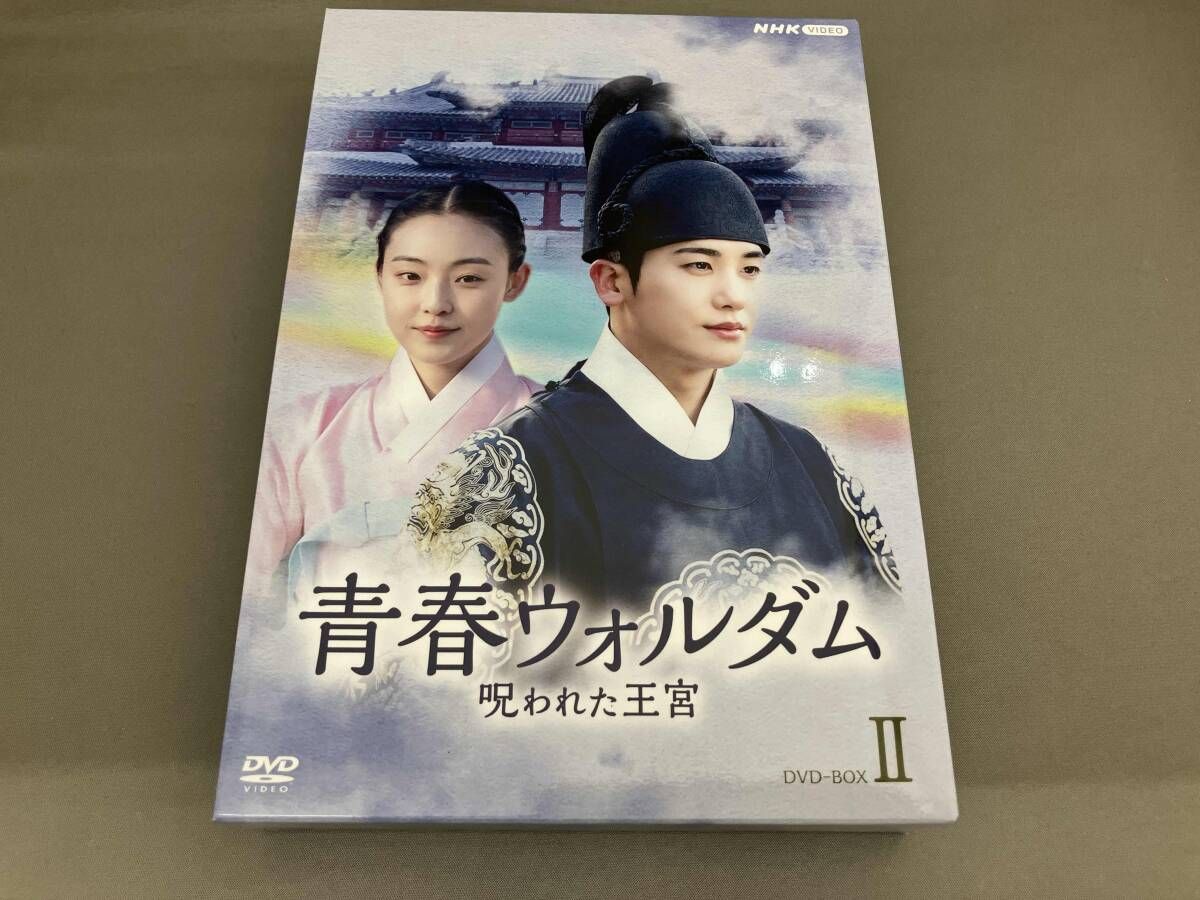 パク・ヒョンシク DVD 青春ウォルダム 呪われた王宮 BOX2