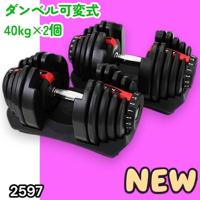#2597 ダンベル 可変式 レッド 40kg 2個 総重量80kg 多機能 5~40kg 17段階調節 分かりやすいキロ表示 安全設計 省スペース 収納可能 ※一部地域離島別途配送料有