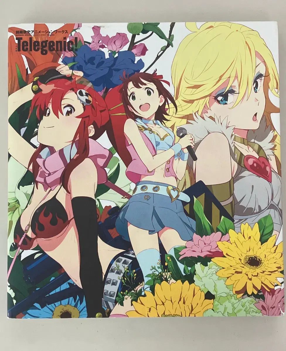 テレゼニク イラスト 画集 ファンズ KPOP アイドル マスター ONE ドール 中島 敦