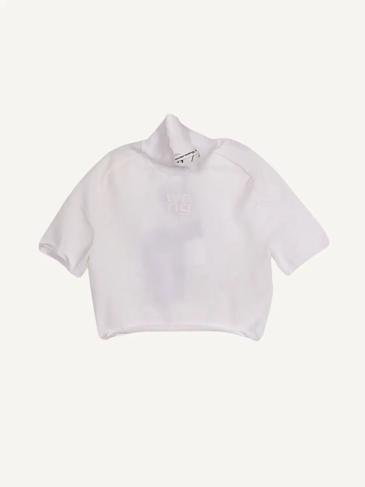 Alexander Wang アレキサンダーワング タートルネック クロップド トップス XS (新色_E019)