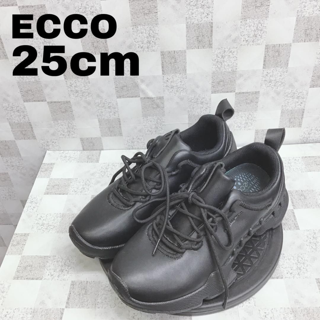 ECCO エコー レースアップスニーカー ブラック 25cm 49