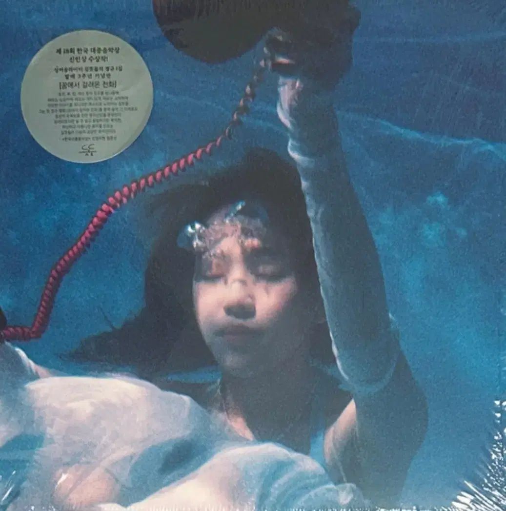 キム・イアンドル ー 夢の中で 捕まった テレフォニー LP