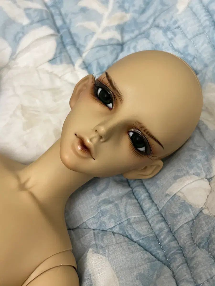 ルーツ デルフ sd クラウス タン スキン