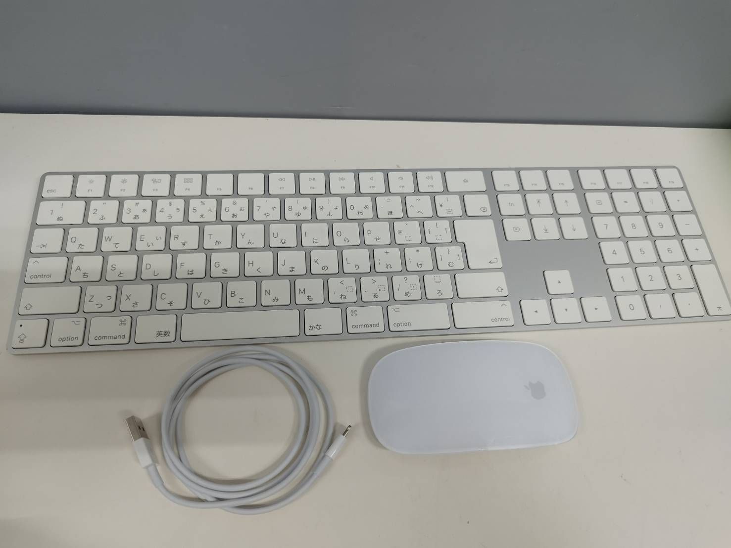 Apple Magic Keyboard/Mouse 2セット (日本語配列) B-C - メルカリ