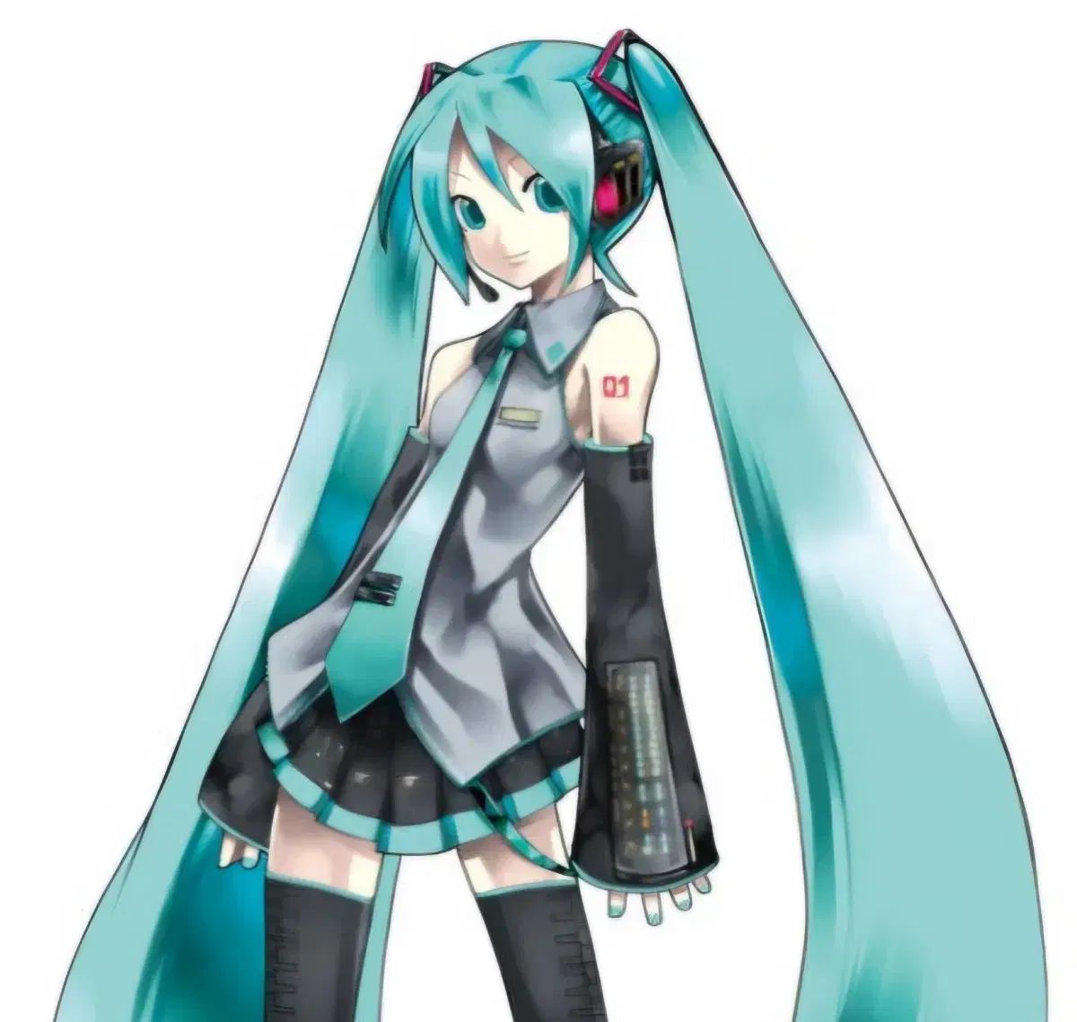 初音ミク 基本 レジャCOSプレ 衣装 出品