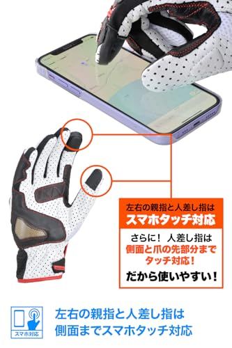 デイトナ(Daytona) バイク グローブ 夏 メッシュ 革(ヤギ革) カーボンプロテクター スマホ対応 スポーツメッシュグローブ HBG-053 ブラック/ホワイト/レッド Lサイズ 15974as 5c0ca899 デイトナ(Daytona) バイク グローブ 夏 メッシュ 革(ヤギ革) カーボンプロテクター スマホ対応 スポーツメッシュグローブ HBG-053 ブラック/ホワイト/レッド Lサイズ 15974as 5c0ca899