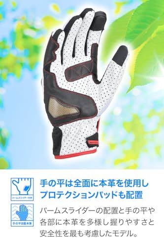 デイトナ(Daytona) バイク グローブ 夏 メッシュ 革(ヤギ革) カーボンプロテクター スマホ対応 スポーツメッシュグローブ HBG-053 ブラック/ホワイト/レッド Lサイズ 15974as 5c0ca899 デイトナ(Daytona) バイク グローブ 夏 メッシュ 革(ヤギ革) カーボンプロテクター スマホ対応 スポーツメッシュグローブ HBG-053 ブラック/ホワイト/レッド Lサイズ 15974as 5c0ca899