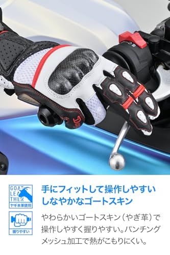 デイトナ(Daytona) バイク グローブ 夏 メッシュ 革(ヤギ革) カーボンプロテクター スマホ対応 スポーツメッシュグローブ HBG-053 ブラック/ホワイト/レッド Lサイズ 15974as 5c0ca899 デイトナ(Daytona) バイク グローブ 夏 メッシュ 革(ヤギ革) カーボンプロテクター スマホ対応 スポーツメッシュグローブ HBG-053 ブラック/ホワイト/レッド Lサイズ 15974as 5c0ca899