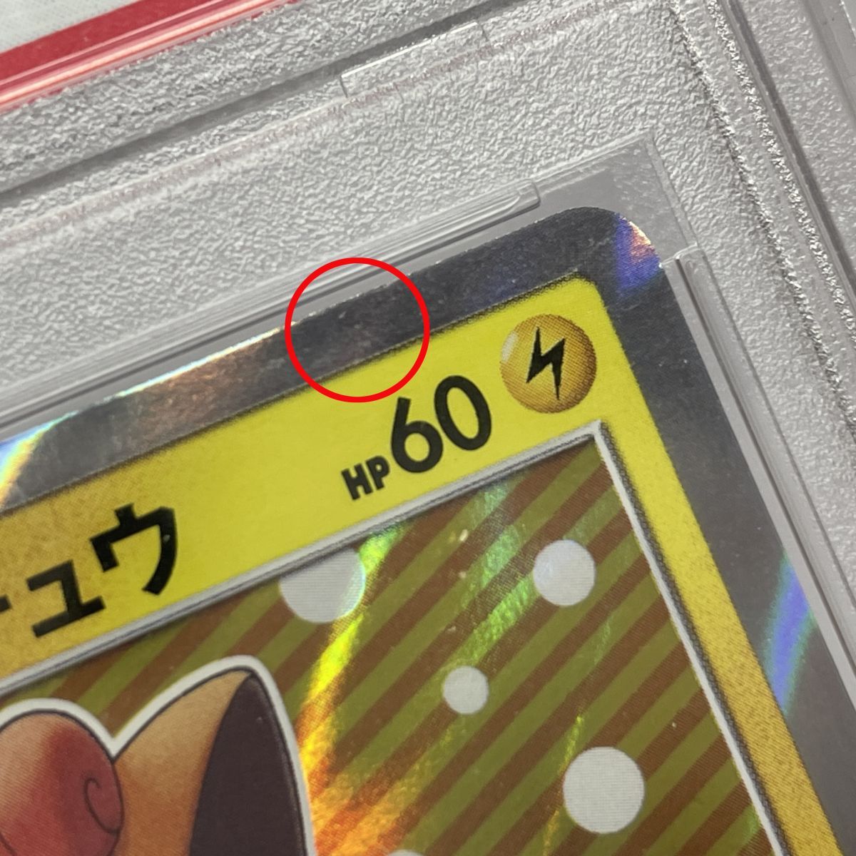 PSA10】 ポケモンカード ポンチョを着たピカチュウ ロコン・アローラ