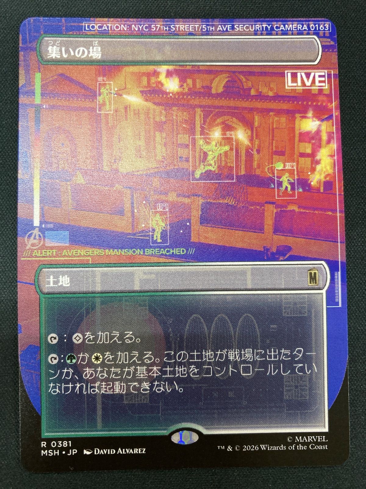 MTG 集いの場 日本語 ボーダーレス - メルカリ