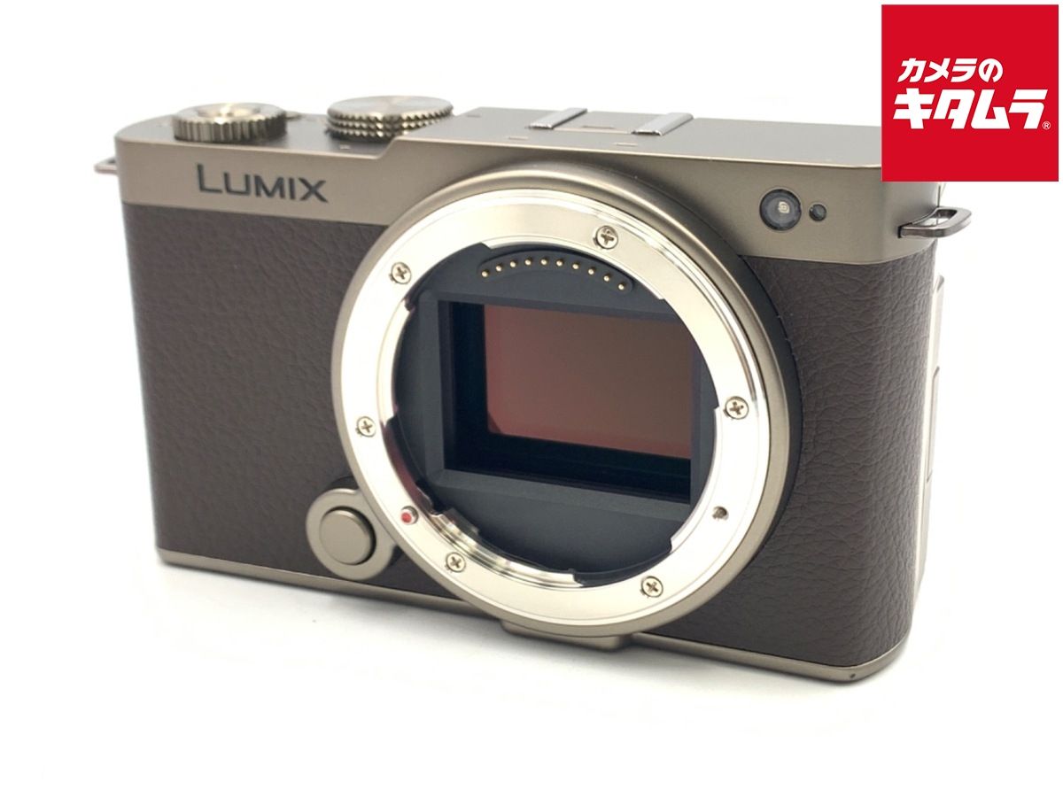 【中古】 【美品】 パナソニック LUMIX DC-S9-N ボディ チタンゴールド