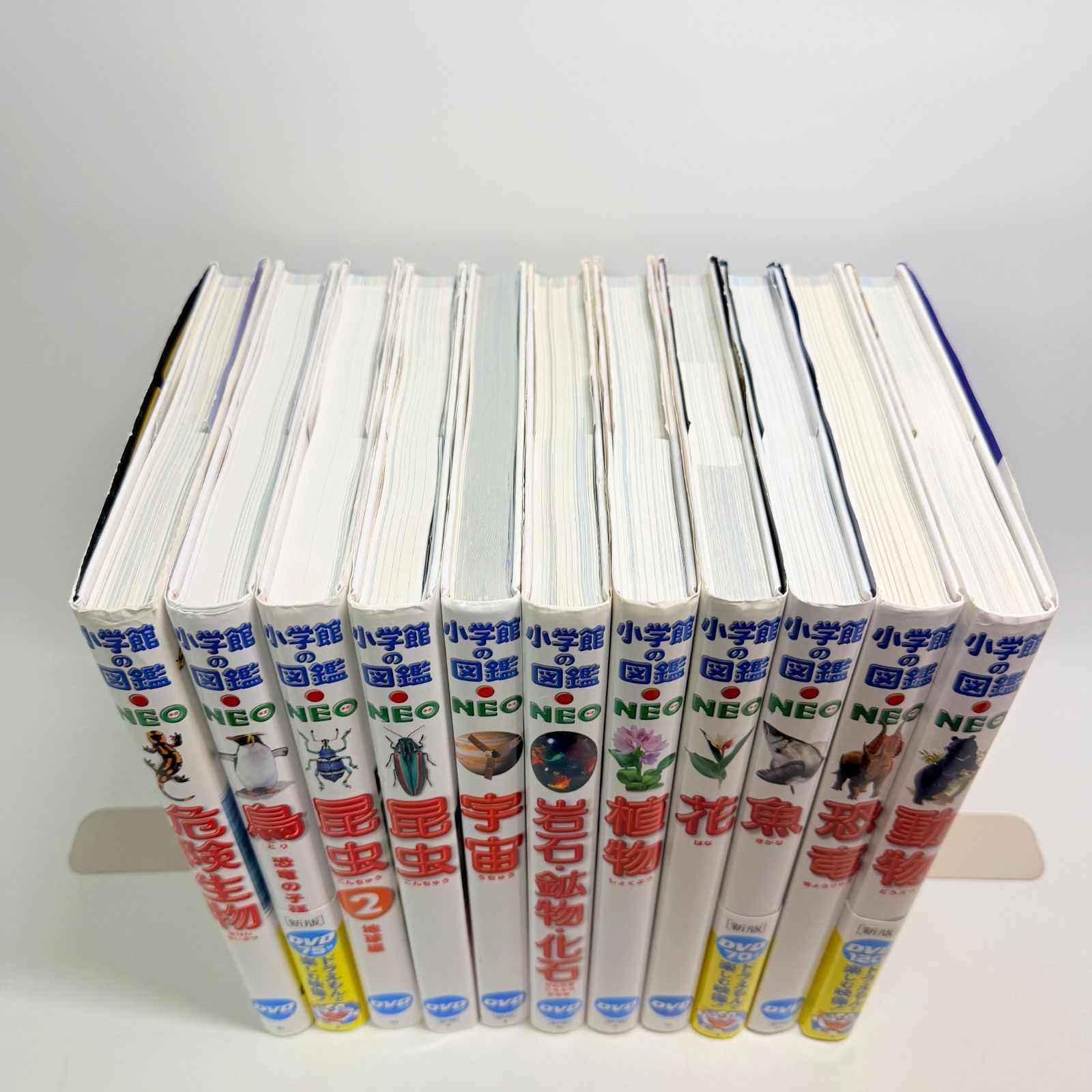 DVDなし】 小学館の図鑑 neo 11冊セット - メルカリ