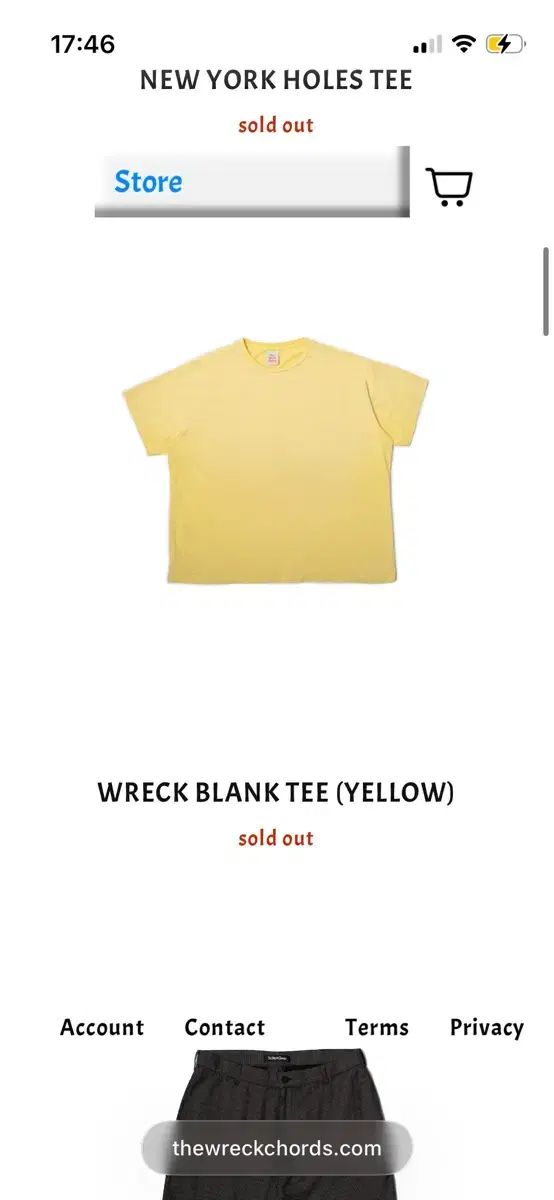 1) ダーウェンコーズ ブランクTシャツ