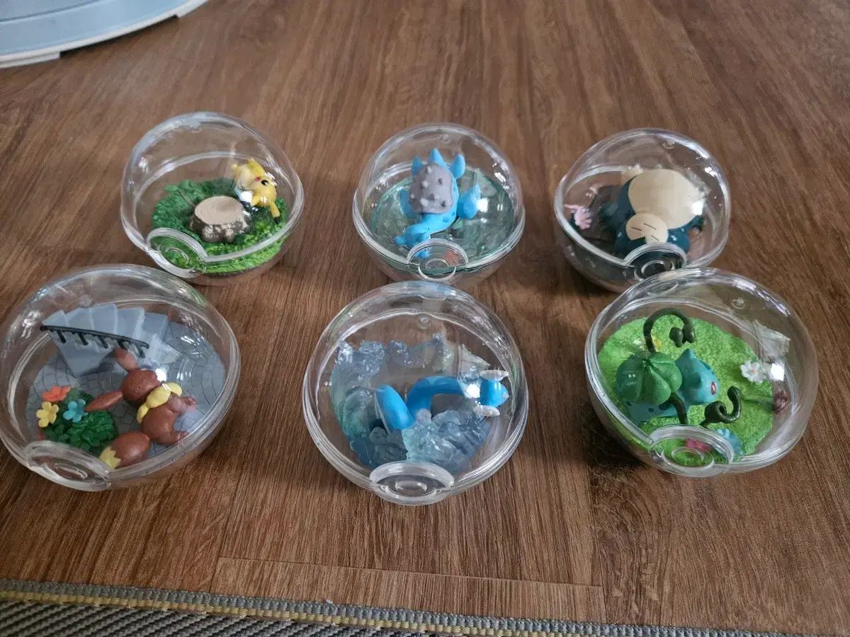 ポケットモンスター テラリウム 1탄 セット