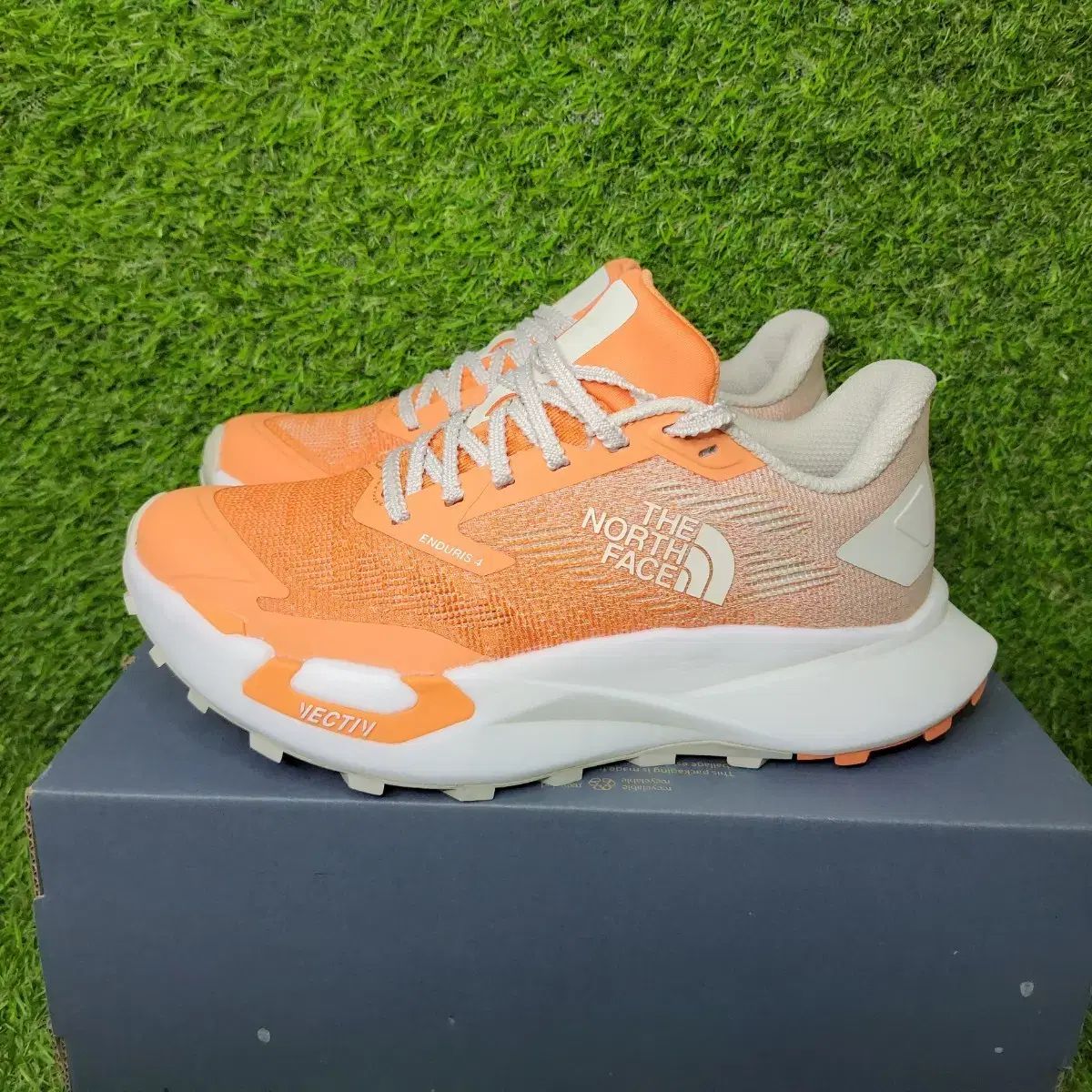 THE NORTH FACE ザノースフェイス スニーカー (240)