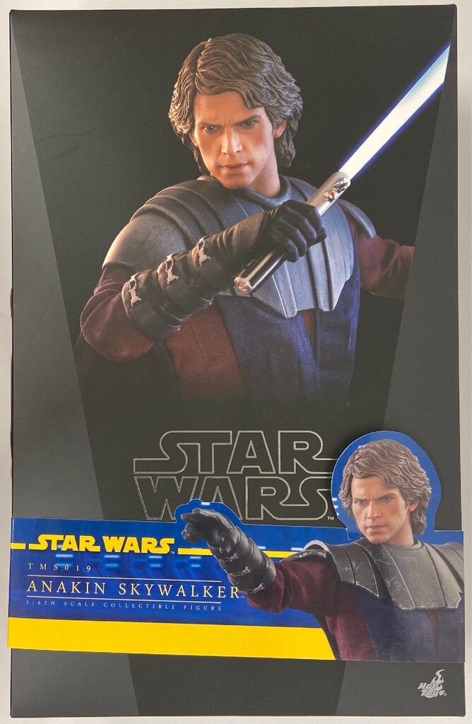 HOTTOYS TELEVISION MASTERPIECE ANAKIN SKYWALKER (通常版) TMS019