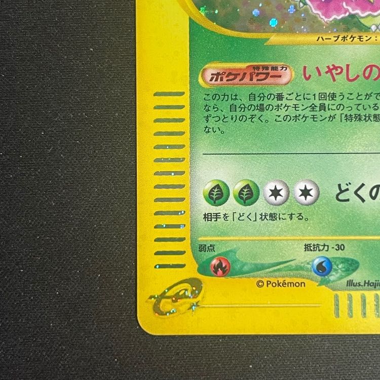 ポケモンカードe メガニウム (キラ) 第1弾拡張パック 102/128 5o メガニウム ☆ ポケモンカードe「第1弾 基本拡張パック」 キラ 102/128