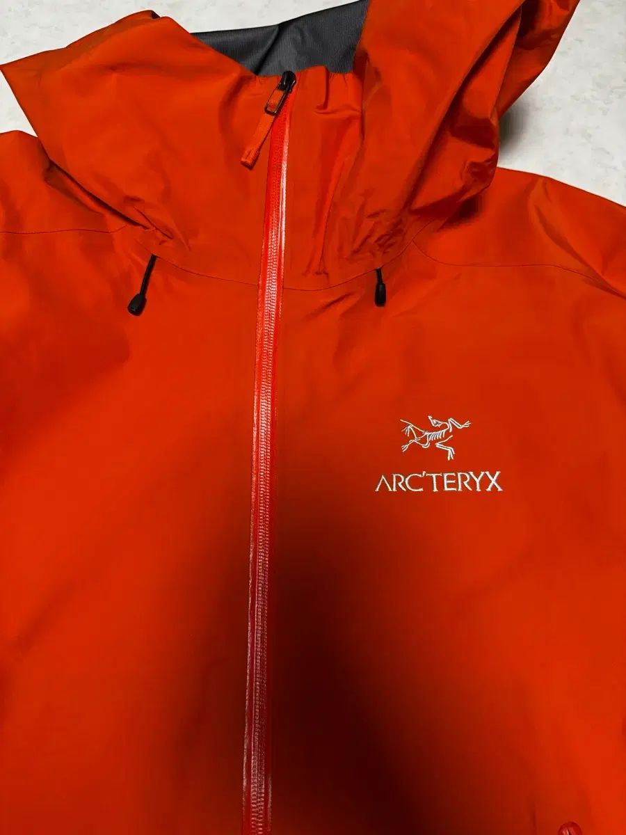 ARC'TERYX アークテリクス ベータlt フェノム Lサイズ