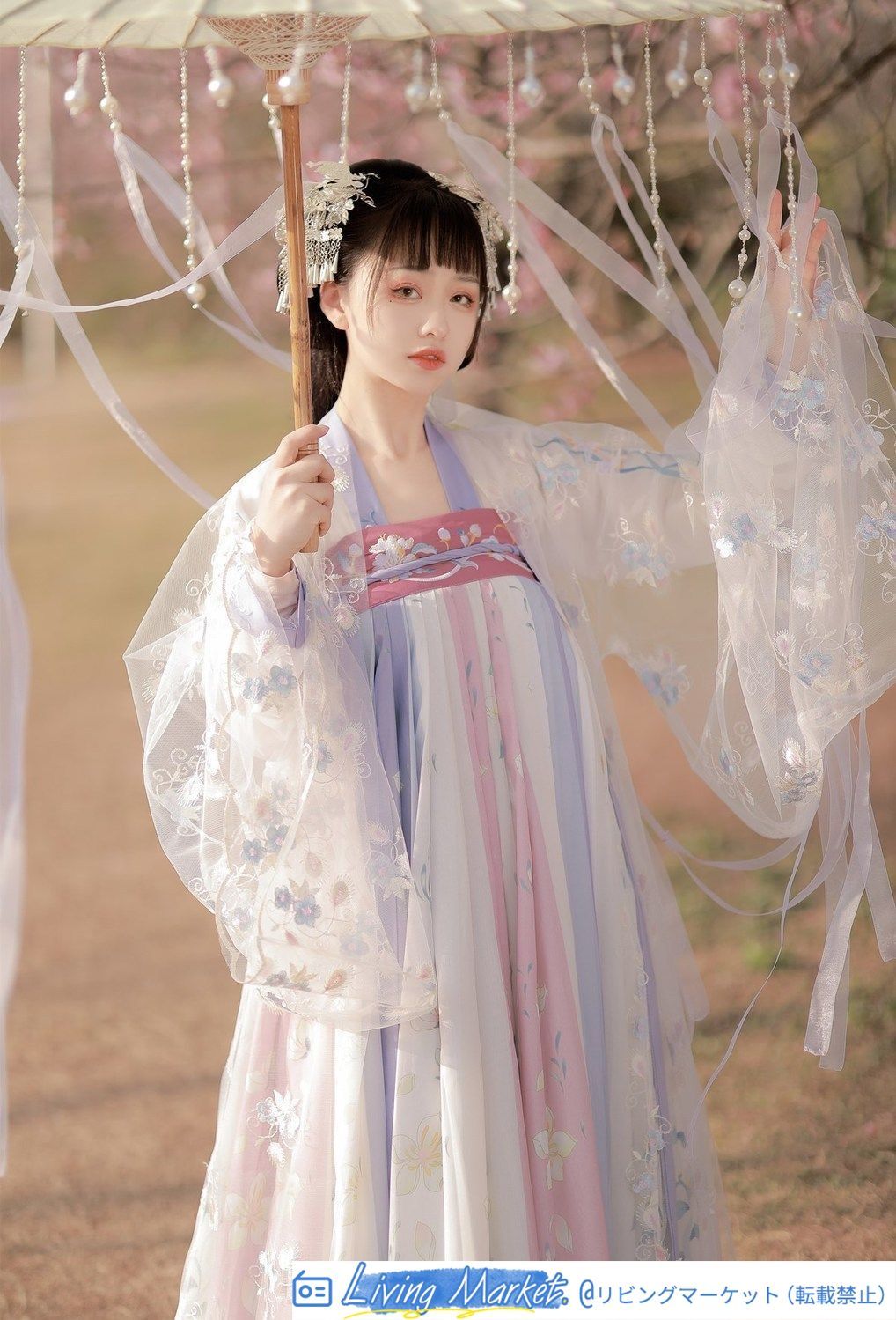 桜洛 明制漢服 刺繍入り 齊胸襦裙 日常使いしやすい 春夏秋対応 レディース用 CS626P302