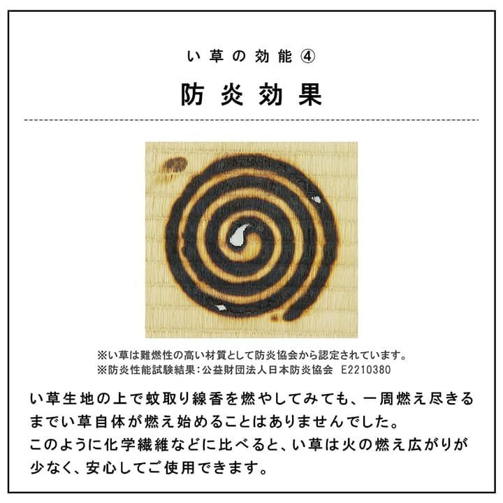 置き畳カーペットネイラル70×70×3cm9枚組