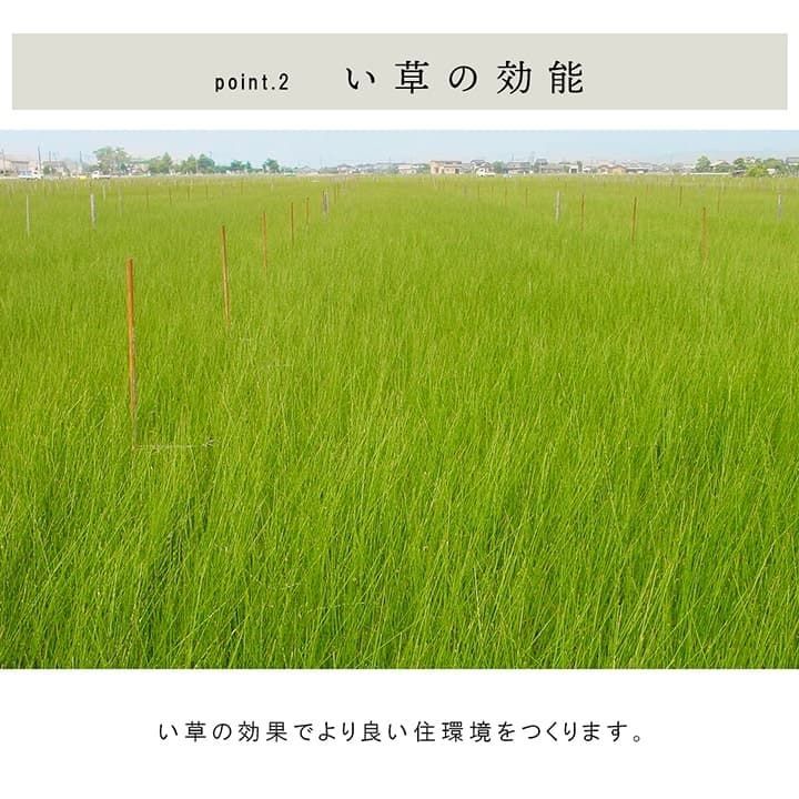 置き畳カーペットネイラル70×70×3cm9枚組