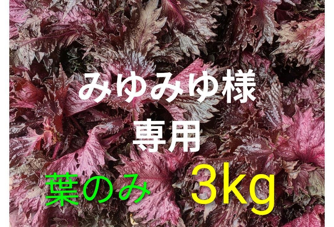 ★みゆみゆ様専用です!!