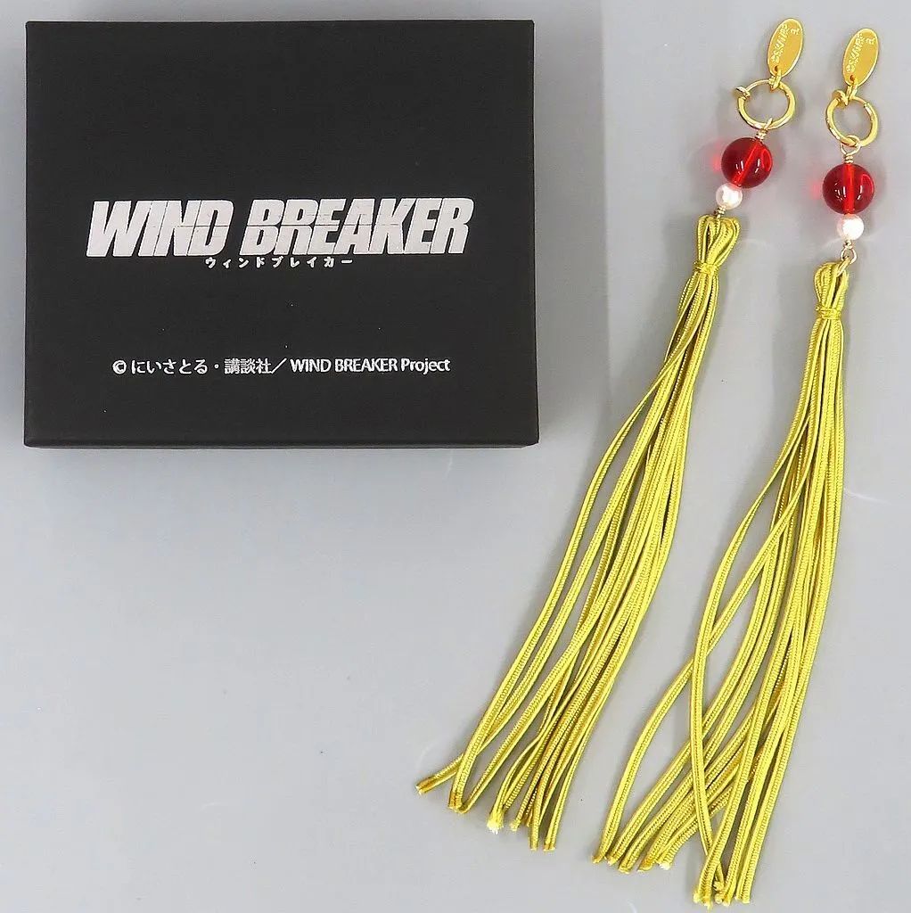 [Used] silverware/ring/accessories Su Fang Hayafei tassel earrings “WIND BREAKER”