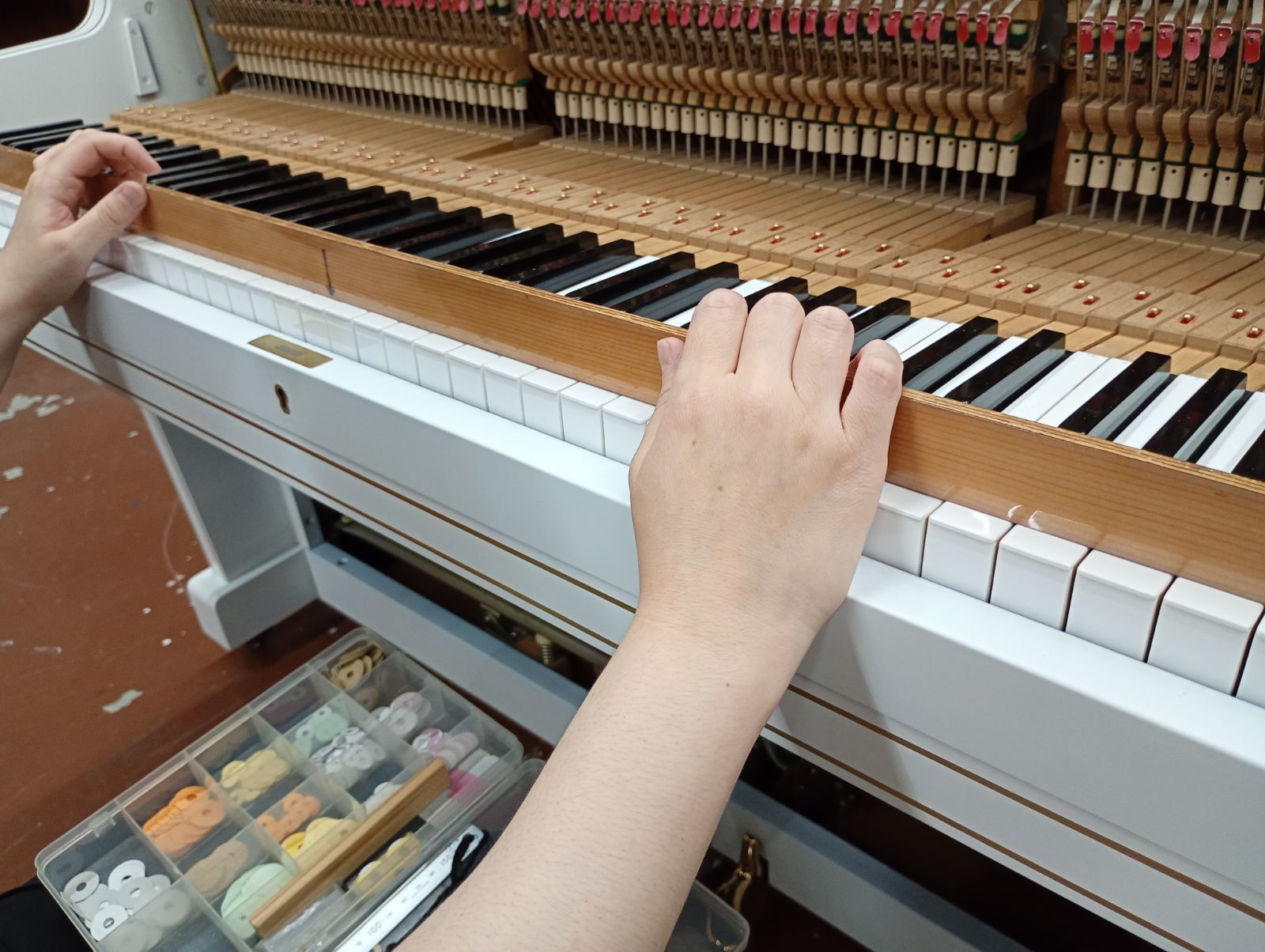 シャミナーデ ヤマハU3H 3年間品質保証 - メルカリ