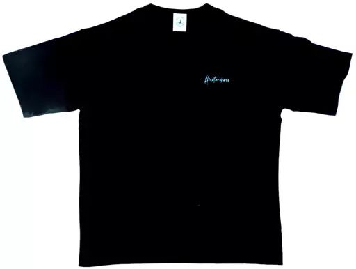 【中古】Tシャツ 日向坂46 4回目のひな誕祭 フォトビッグTシャツ ブラック XLサイズ 「4回目のひな誕祭」