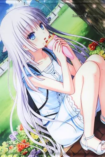 【中古】タペストリー [単品] 鳴瀬しろは B2タペストリー 「C94 Summer Pocketsセット」