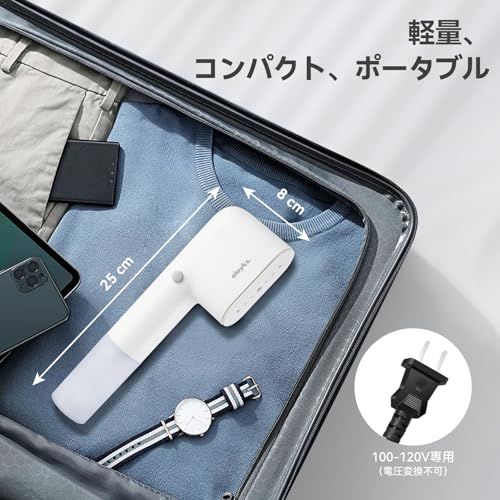 新型 アイロン スチームアイロン 衣類スチーマー ハンガーにかけたまま