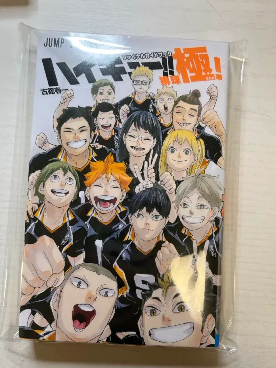 ハイキュー ファイナル ガイド BOOK 日本語 原書 ハイキュー