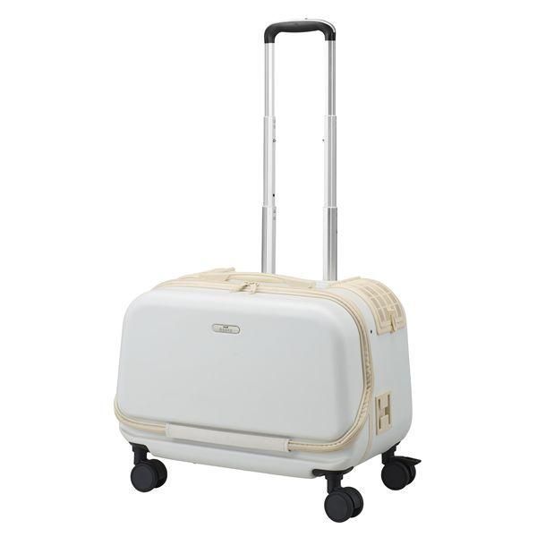 ジェックス OSOTO コロフィー M ミルク 犬猫用品 17,374円