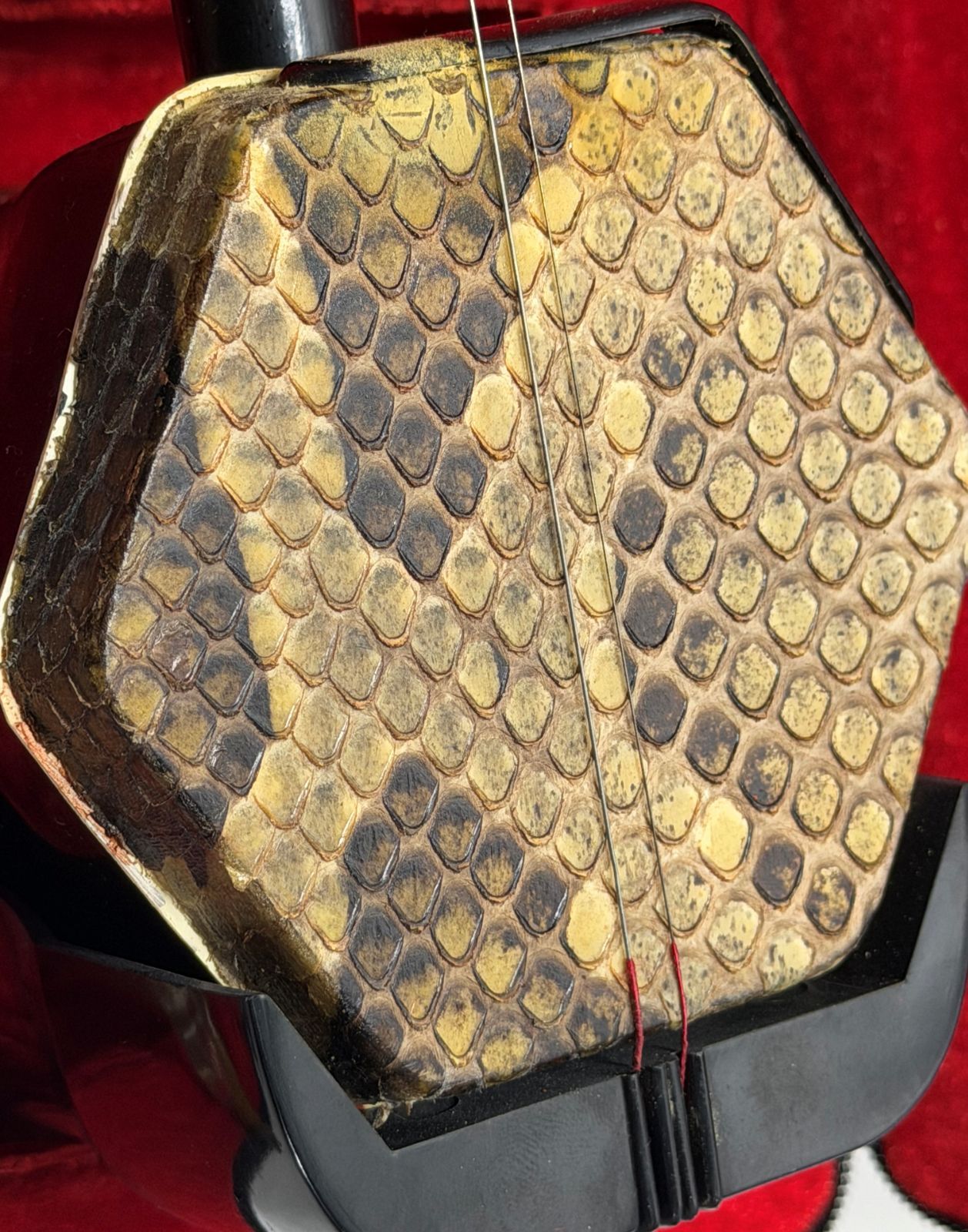 二胡 蛇皮 ケース付 弓 弦 中国楽器 民族楽器 現状品 - メルカリ