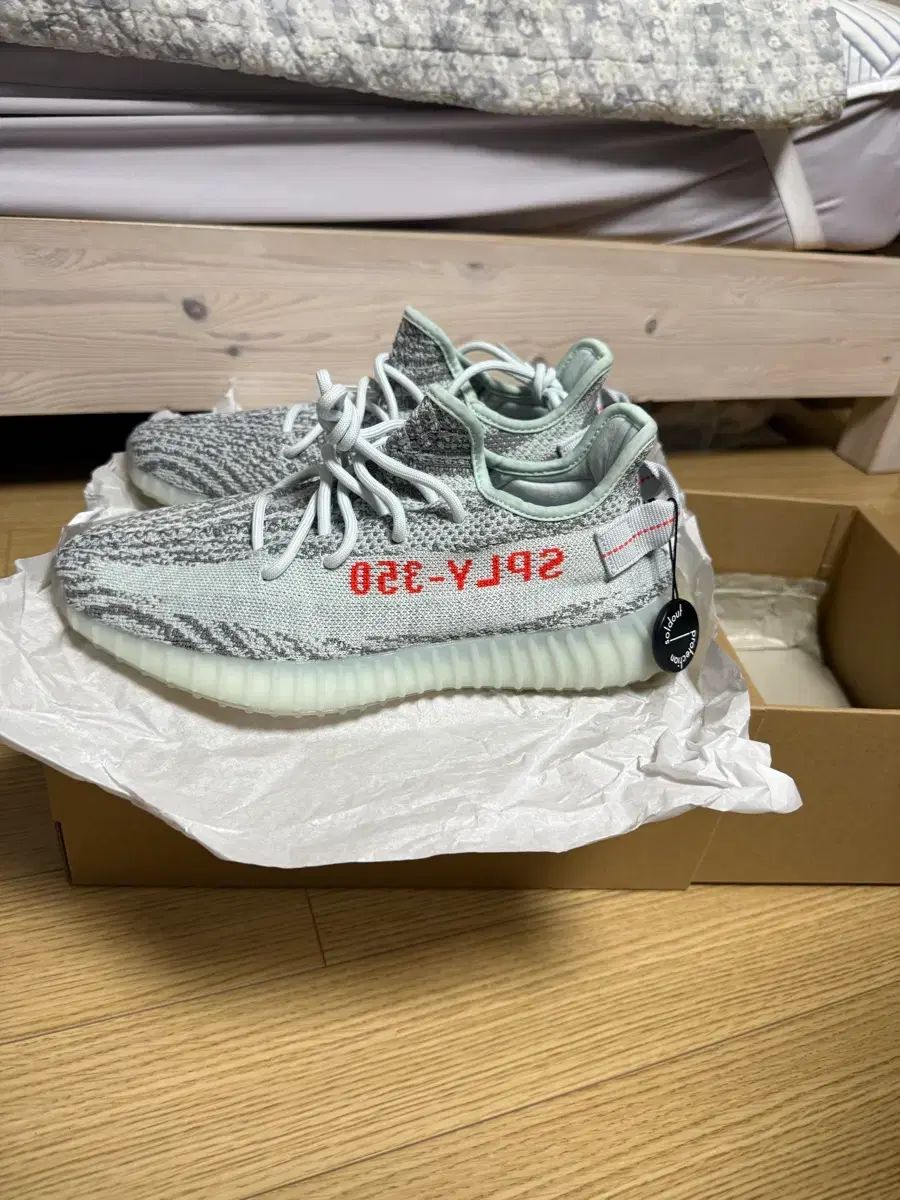 イージーブースト 350 v2 ブルーティント 270 新品 (2022 バージョン)