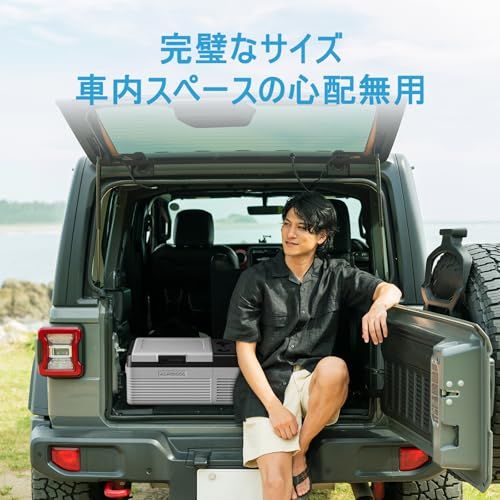 【迅速に発送】【2026新登場】Alpicool 車載冷蔵庫 15L ポータブル冷蔵庫 -20℃?20℃ 急速冷凍 車載れいぞうこ 小型 省エネ コンパクト 3WAY電源対応 DC12V/24V AC100V 車載家庭両用 耐震設計 低電圧保護 車中泊 アウト