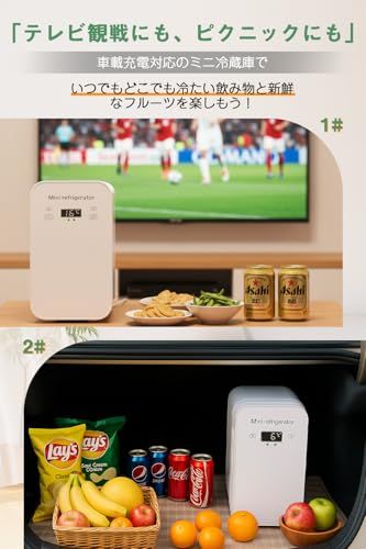 【迅速に発送】小型冷蔵庫 6L小型 冷温庫 ミニ冷蔵庫 ペルチェ式 温度調節可能 LCD温度表示 0°C~55°C ワンタッチ操作 保温・保冷 ペルチェ搭載 軽量 静音性 ポータブル AC/DC電源 車載 アウトドア 家庭用 PSE認証 (6L, ホワイト)