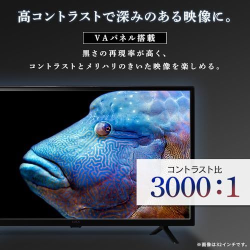 アイリスオーヤマ テレビ 24インチ 2K 液晶テレビ VAパネル搭載 裏番組録画 BS/CS対応 LT-24WSX-F1 ブラックry e9c66dfe