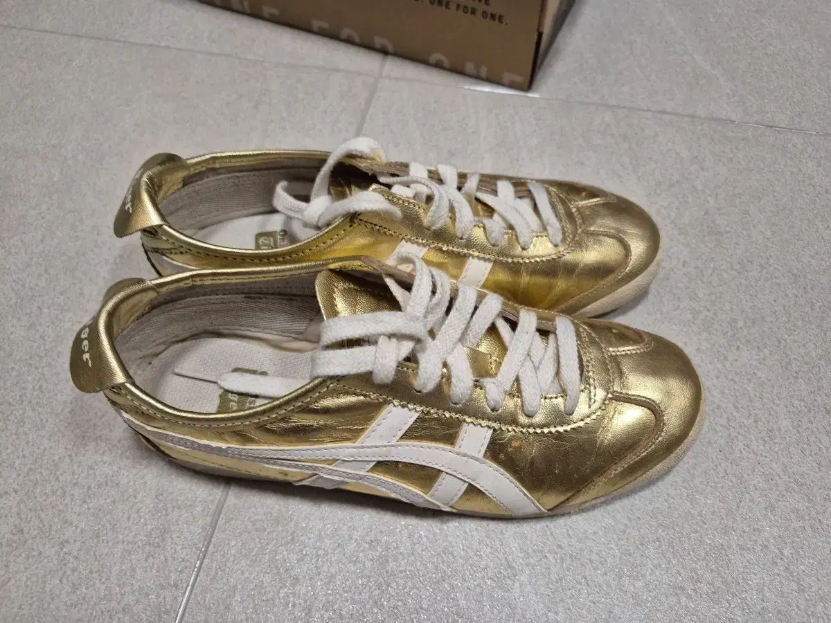 オニツカタイガー 멕시코 66 GOLD