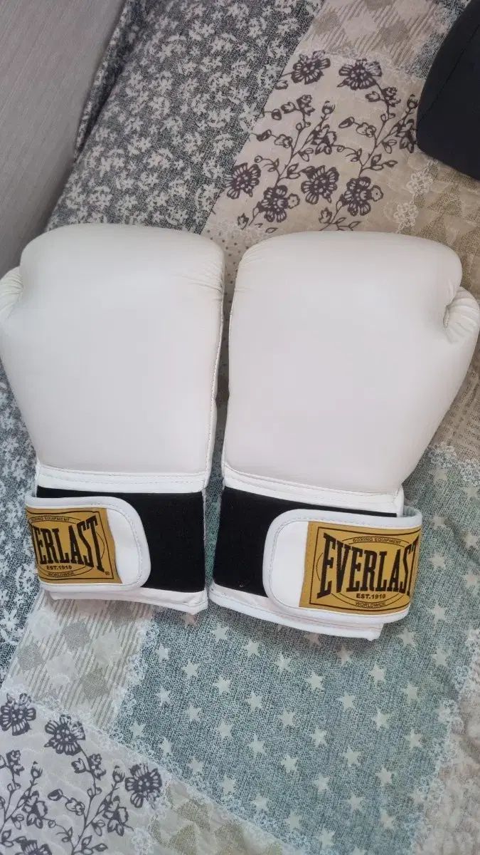 EVERLAST 1910 Classic ボクシング グローブ 16oz